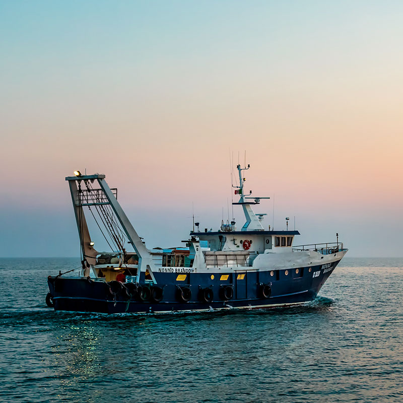 Filiera Pesca - Filiere Porto di Venezia e Chioggia